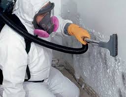 Northbrook, OH Mold Removal Company